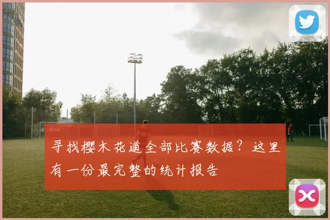 寻找樱木花道全部比赛数据？这里有一份最完整的统计报告